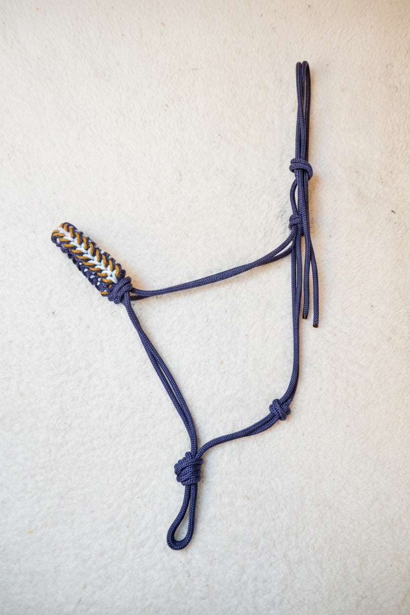 licol éthologique cheval saphir tressé sapristouch bleu marine