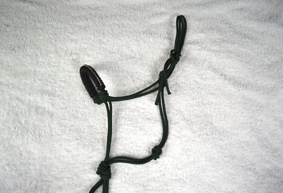 licol éthologique cheval strass sapristouch vert sapin