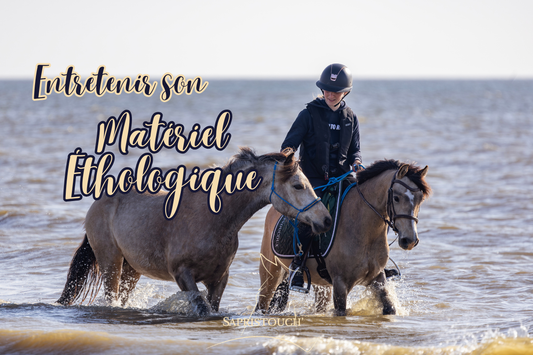 Chevaux à la plage équipés de licols et longes en corde artisanaux Sapristouch'