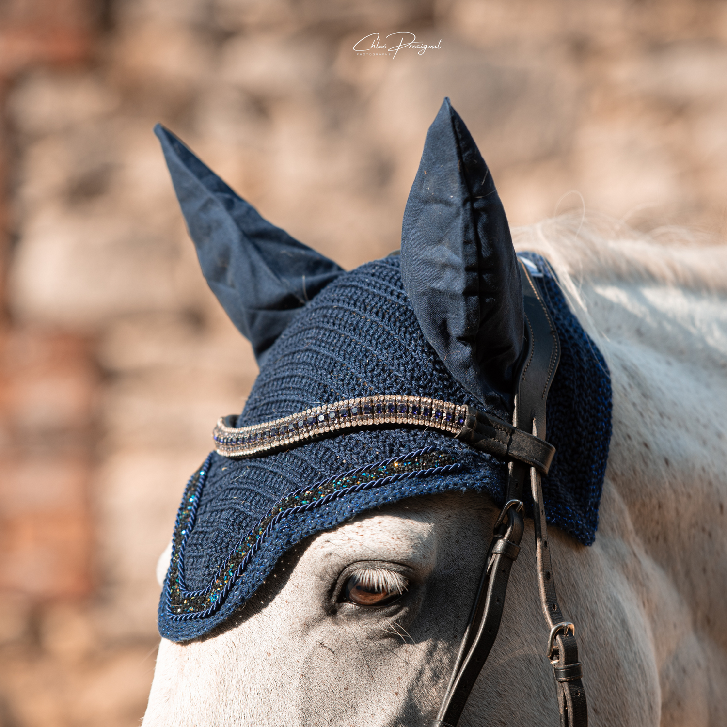 Bonnet cheval Sapristouch'