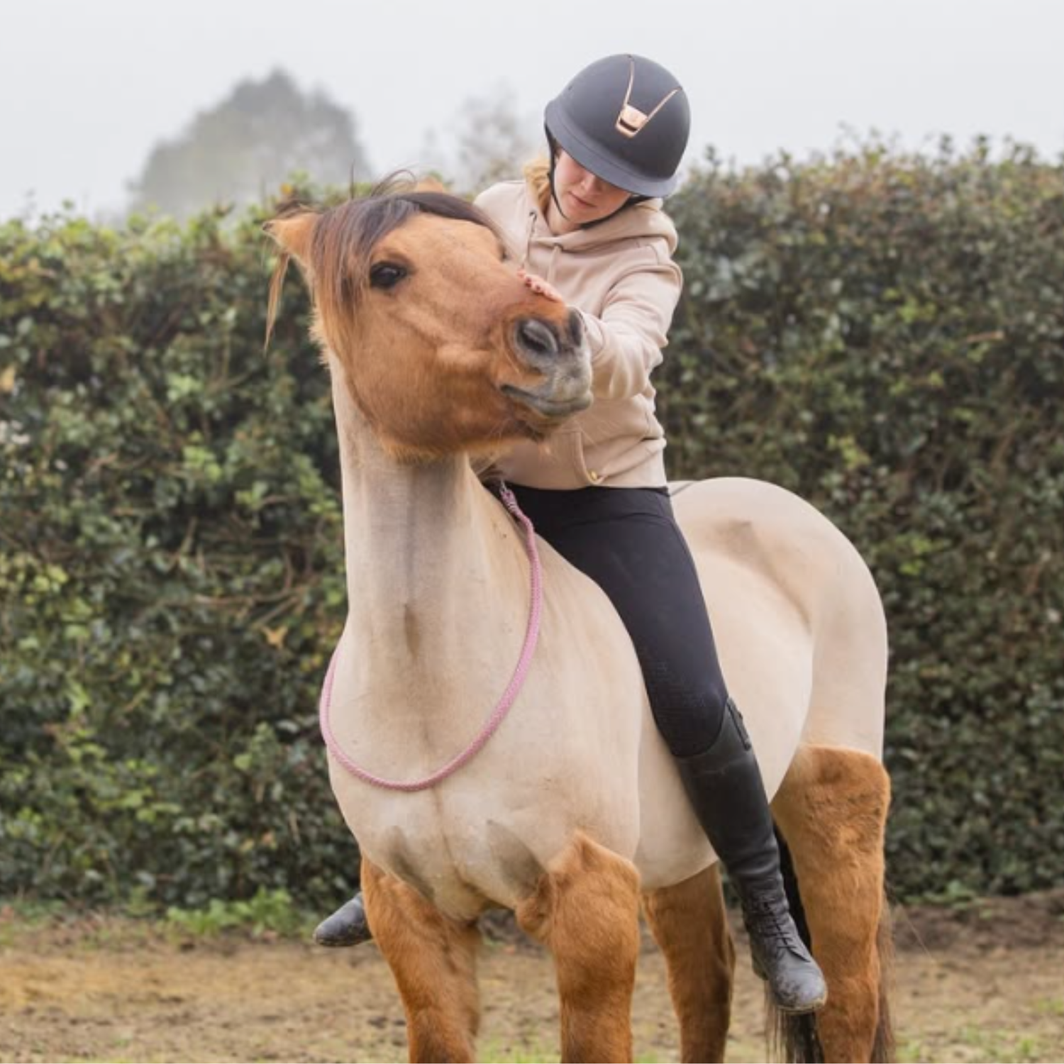 cordelette éthologique cheval corde artisanat