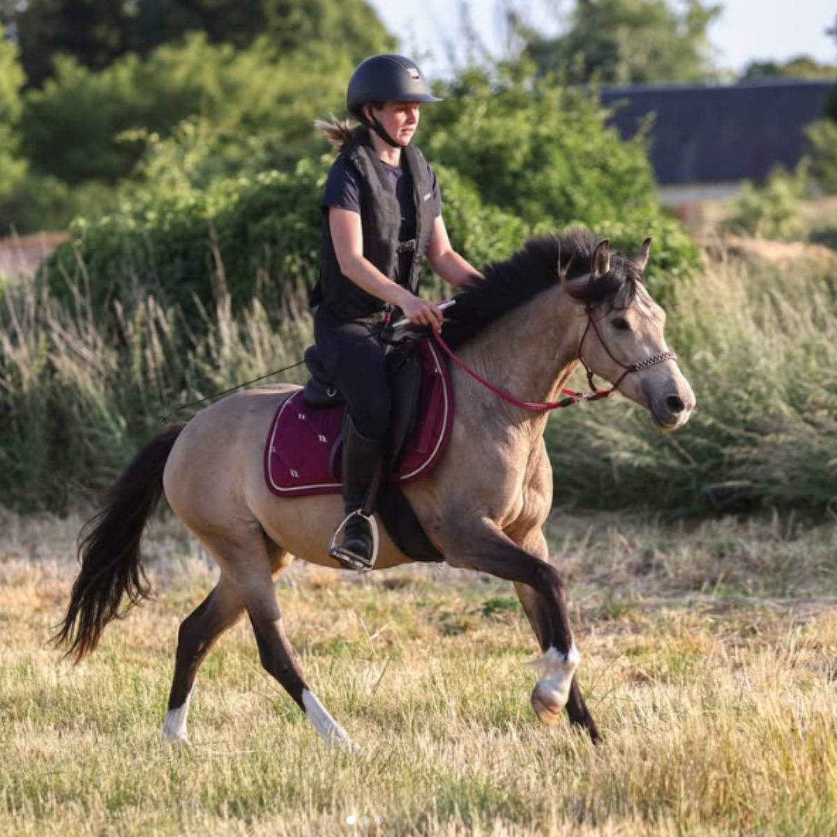 renes éthologiques cheval corde artisanat