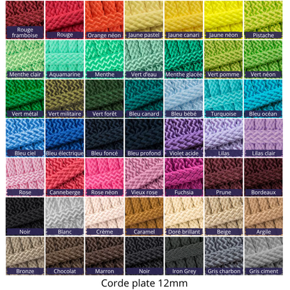 Nuancier corde plate 12mm longe cheval
