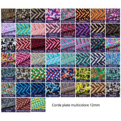 Nuancier_corde plate 12mm longe cheval multicolore