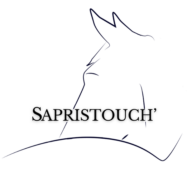 Sapristouch'