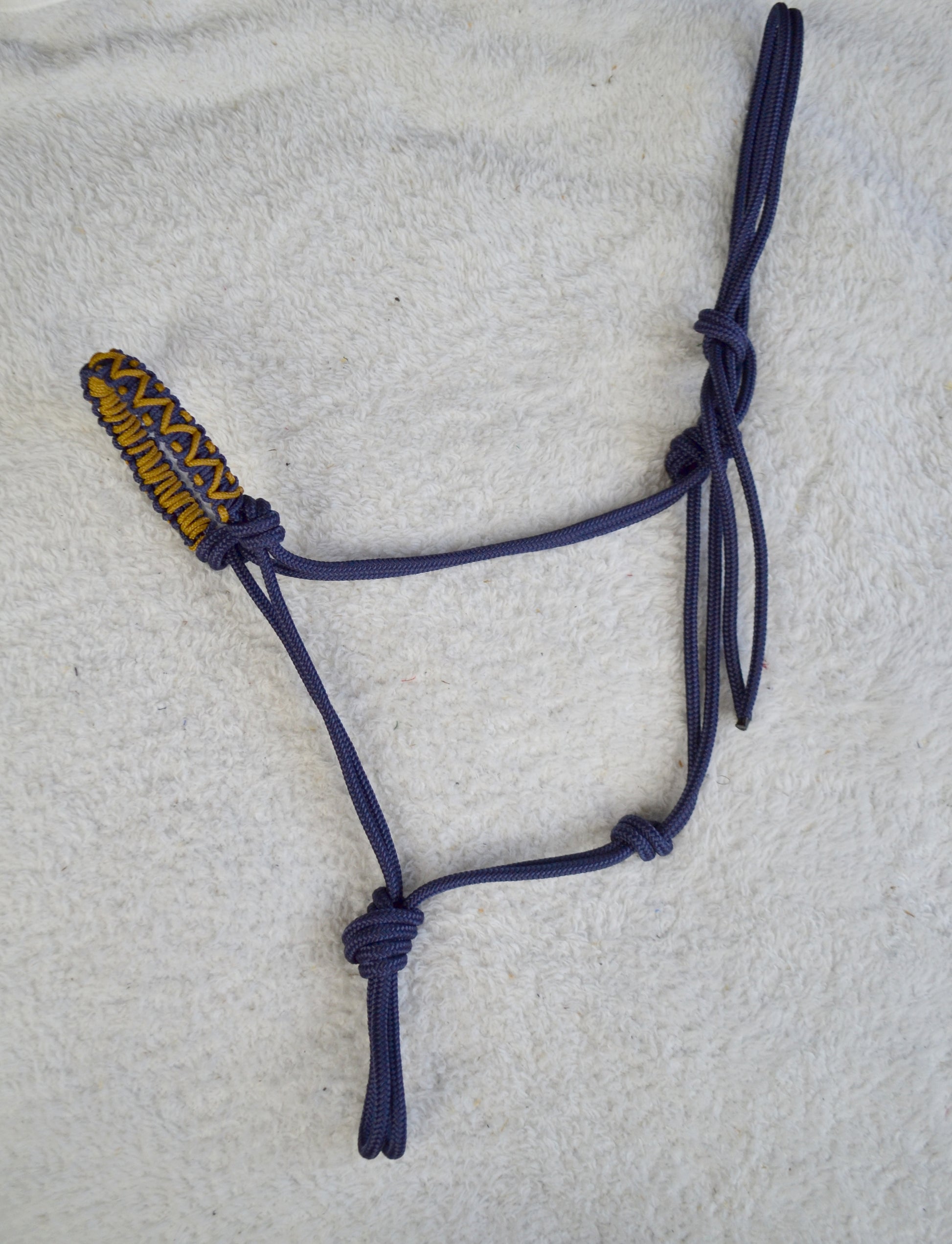 licol éthologique cheval Lazuli tressé sapristouch bleu marine caramel