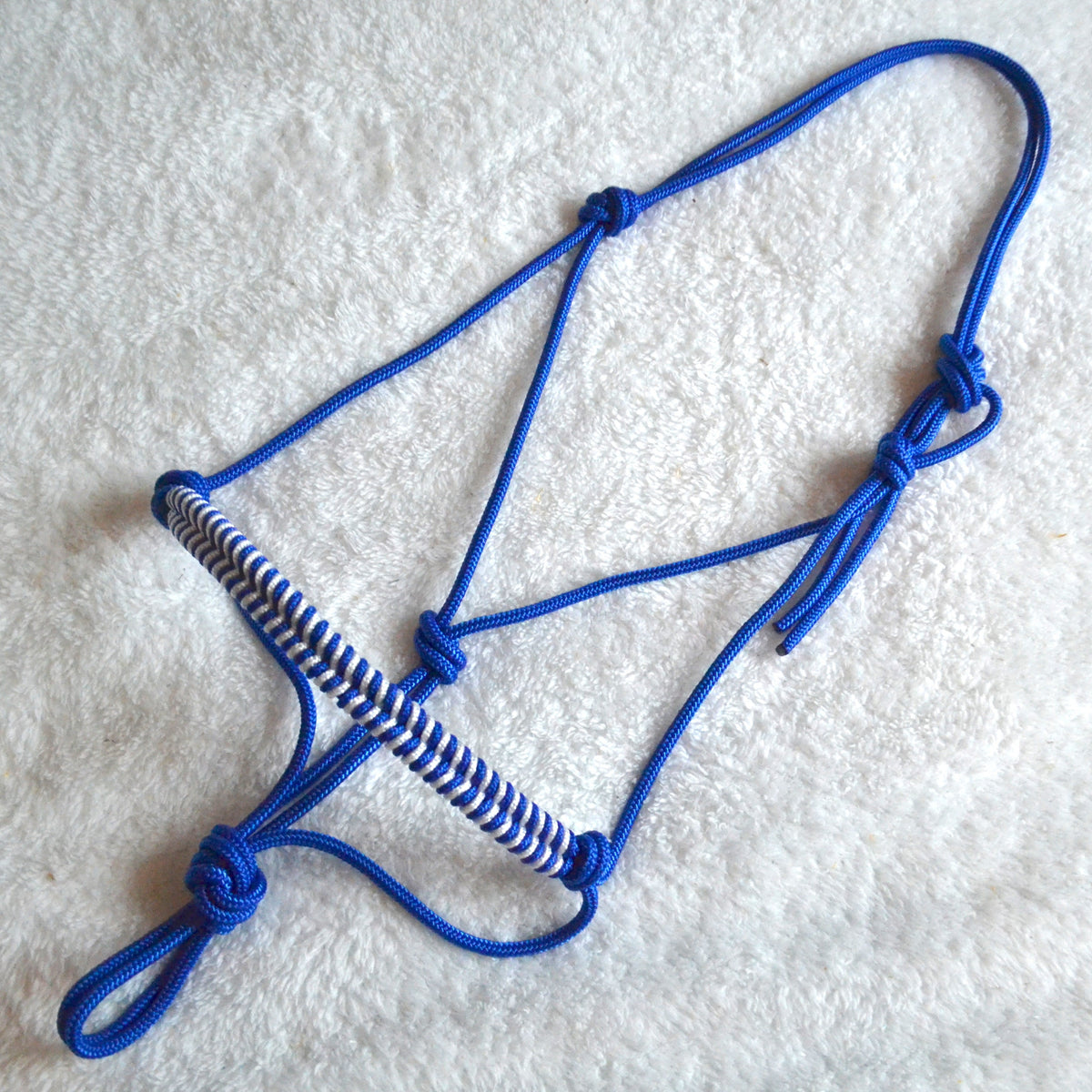 licol éthologique cheval obsidienne tressé sapristouch bleu roi