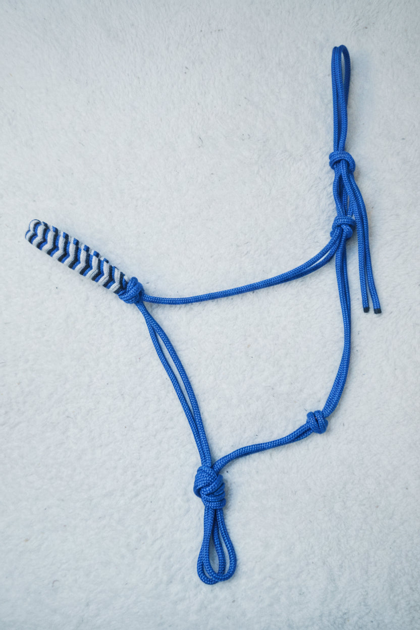licol éthologique cheval obsidienne tressé sapristouch bleu roi