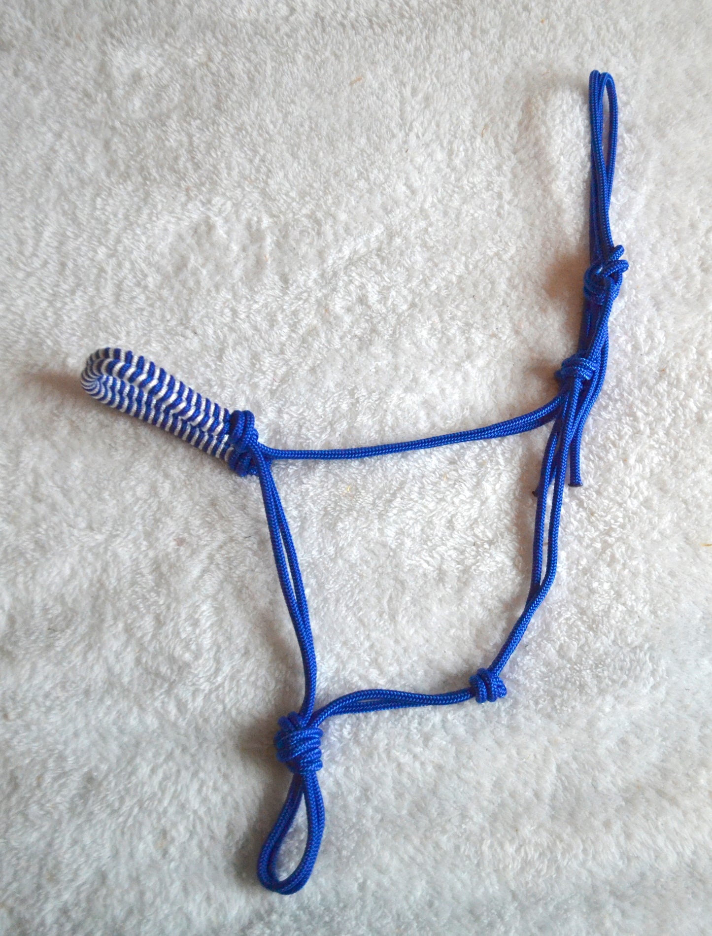 licol éthologique cheval obsidienne tressé sapristouch bleu roi