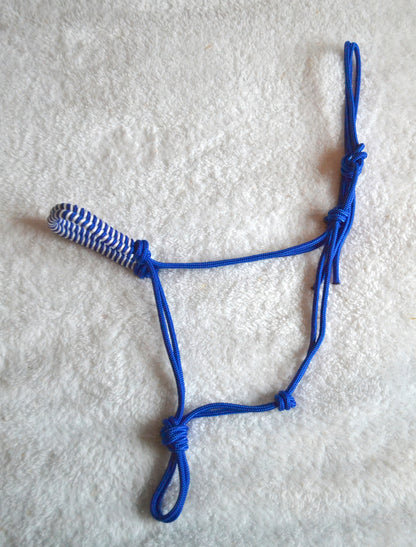 licol éthologique cheval obsidienne tressé sapristouch bleu roi