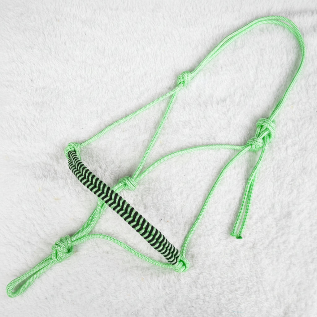 licol éthologique cheval obsidienne tressé sapristouch vert menthe
