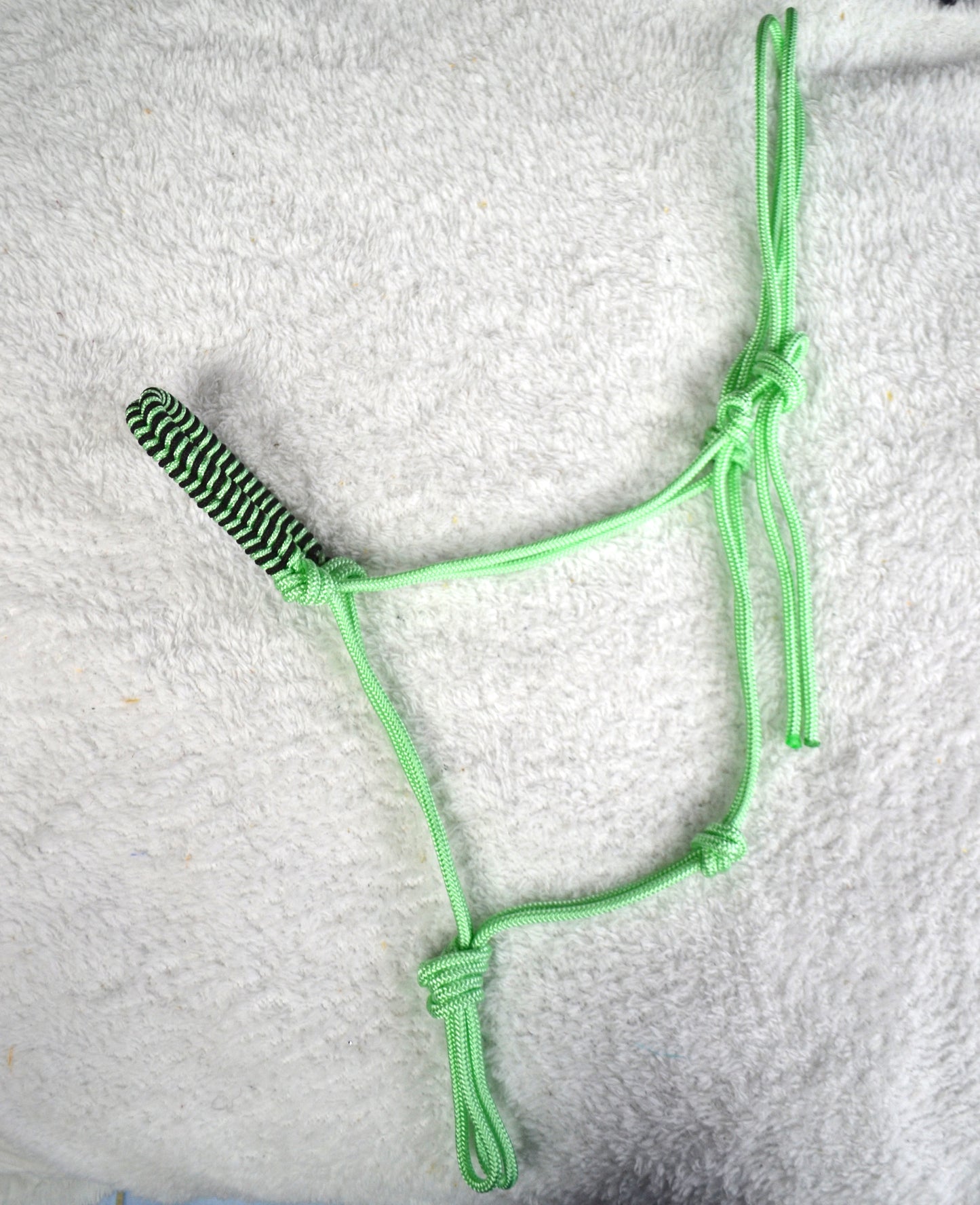 licol éthologique cheval obsidienne tressé sapristouch vert menthe