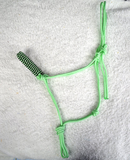 licol éthologique cheval obsidienne tressé sapristouch vert menthe