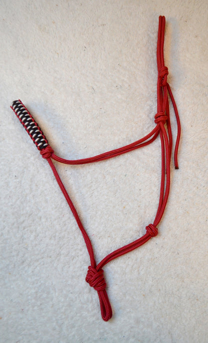 licol éthologique cheval peridot tressé sapristouch rouge 001