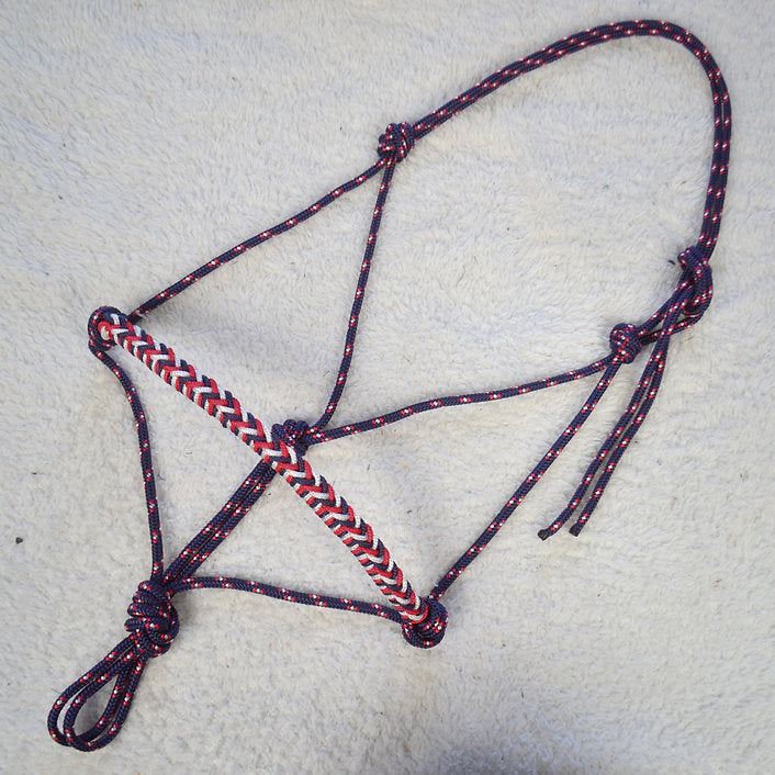 licol éthologique cheval quartz tressé sapristouch captain